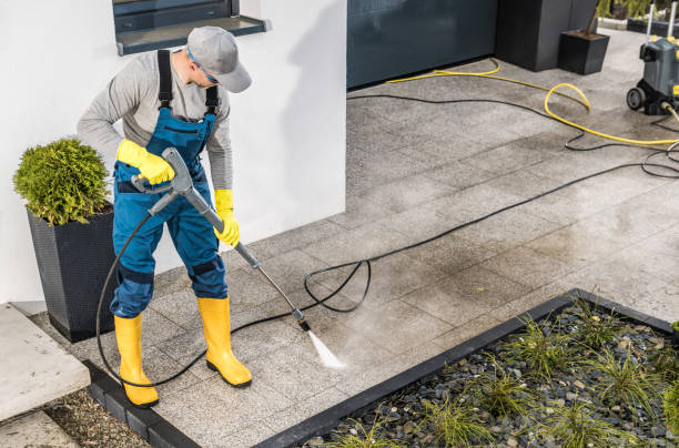 Best Pressure Washing Siding  in Mcnary, AZ